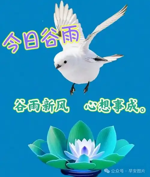 2025年4月20日周末早上好,今日谷雨最漂亮的春天早安问候图片和祝福精选祝大家谷雨快乐