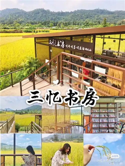 2021中山最美书店这些网红书店你打卡了吗