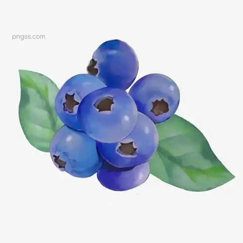 卡通蓝莓水果插画图片大小2000x2000px图片尺寸2mb来自png搜索网pngss.com免费免扣png素材下载瓜果果子蓝莓蓝色绿色食材食品食物水果叶子装饰装饰图案紫色
