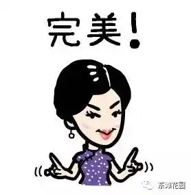 文案改改改改哭了,就因为这条画风清奇的h5