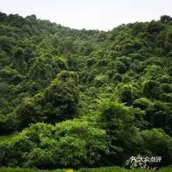 电话,地址,价格,营业时间杭州周边游