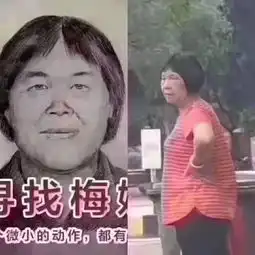 辟谣别在朋友圈刷屏了,关于梅姨的最新画像公安部回应了