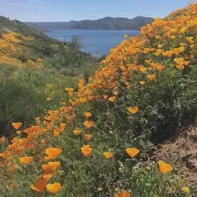 测试一个超长简介的文章