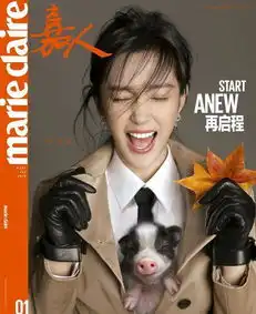 宋茜抱猪上下班,还裹着粉红色的被子,第二个女版井柏然