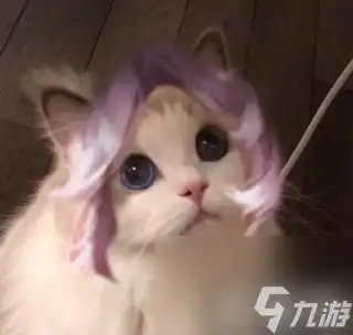 九游游戏中心王者荣耀猫咪刺客头像大全