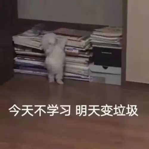读书崽专属头像