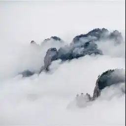 逃离城市蒸煮,老君山云海给你送清凉