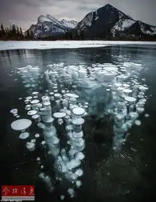 外媒盘点自然界中那些超现实景观