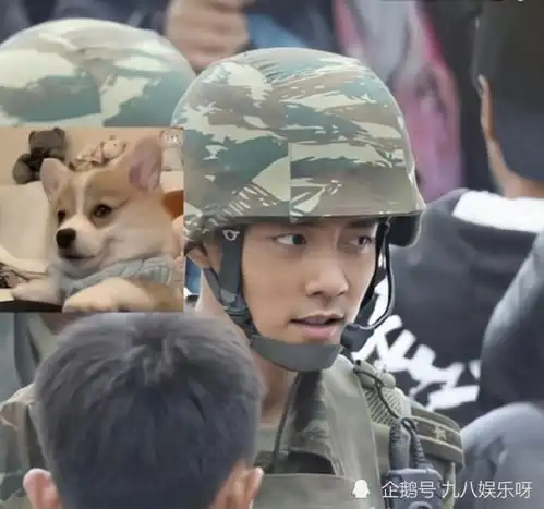 测试一个超长简介的文章
