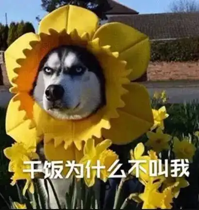 一份养生攻略请查收