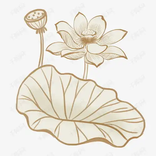 素描荷花荷叶插图素材图片免费下载千库网