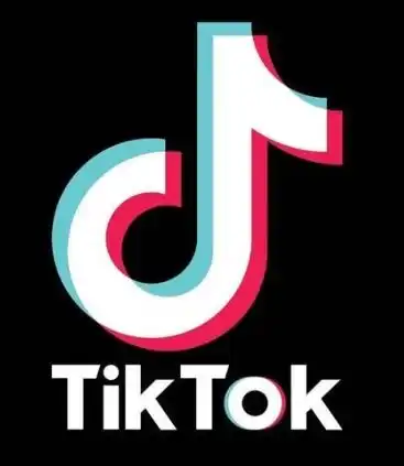 ios苹果手机4g网络,tiktok国际版抖音在线看视频教程