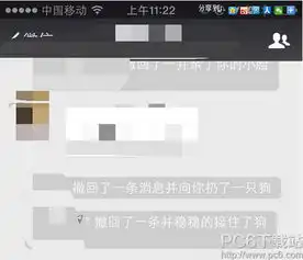 微信撤回消息并向你扔了一只狗怎么弄的微信撤回消息并向你扔了一只狗玩法介绍