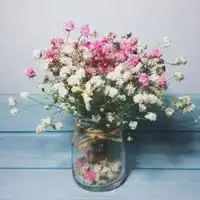 测试一个超长简介的文章