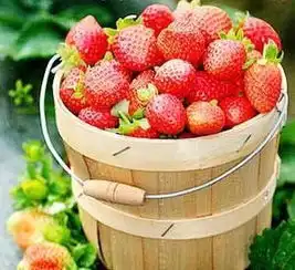 休假推荐食品花生瓜子等零食要少吃