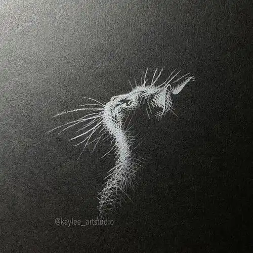 负像画家的新作,仿佛一束光照进黑暗,看完让人咂舌