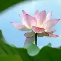 关于科室绩效考核我有话说