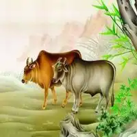 测试一个超长简介的文章