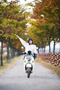 最好的电动车装逼神器让老外骑出腔调