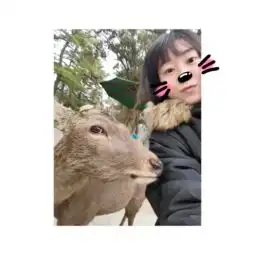 日本奈良鹿喂食记