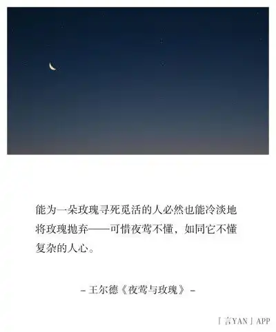 文字句子