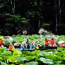2018普者黑门票,文山普者黑游玩攻略,普者黑游览攻略路线地址门票价格