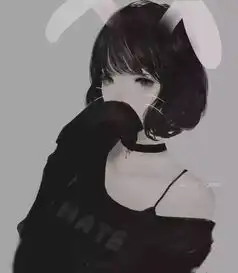 |·-着迷网