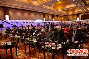 秦勇卡利姆从事中阿友好工作十二周年图片展举行