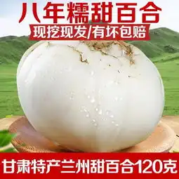 限时优惠4包兰州新鲜食用甜百合清肺止咳农家自产蔬菜小皇四头袋装500克