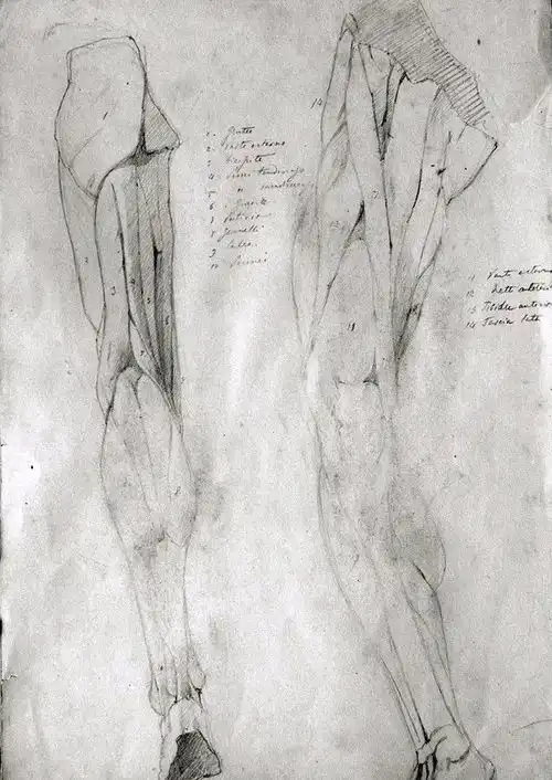 艺推意大利画家beppeciardi素描手稿作品