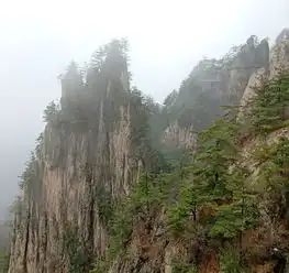 我的第三篇游记与好友登老君山看洛阳牡丹