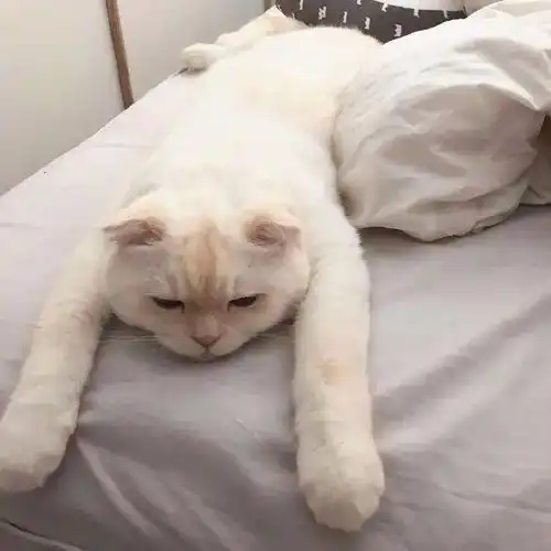 今日头像其实我不胖只是被生活打肿了