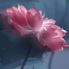 宗教音乐电台企鹅fm