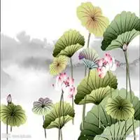 水墨画荷花微信头像微信头像图片大全