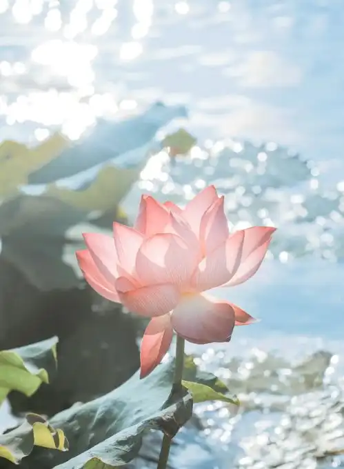 明天能和你见上一面就好了