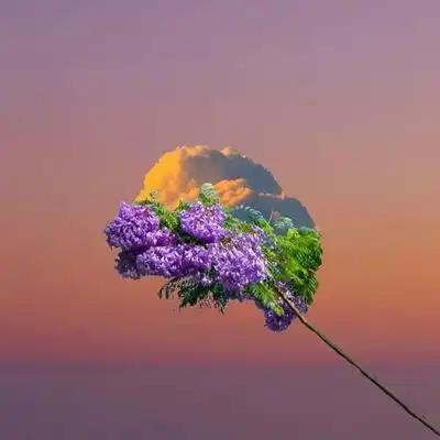 测试一个超长简介的文章