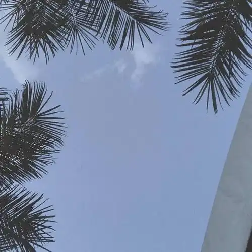 背景图别人对你付出,是因为别人喜欢