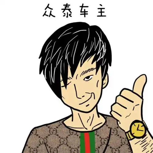 各大品牌车主画像,众泰车主表不服,奥迪车主已哭晕