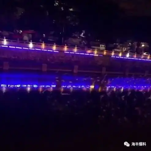 海丰龙津河水面上出现大批鸟类