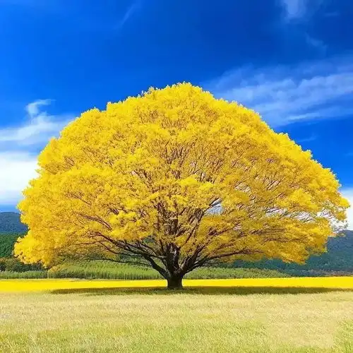微信头像有哪些今日头条