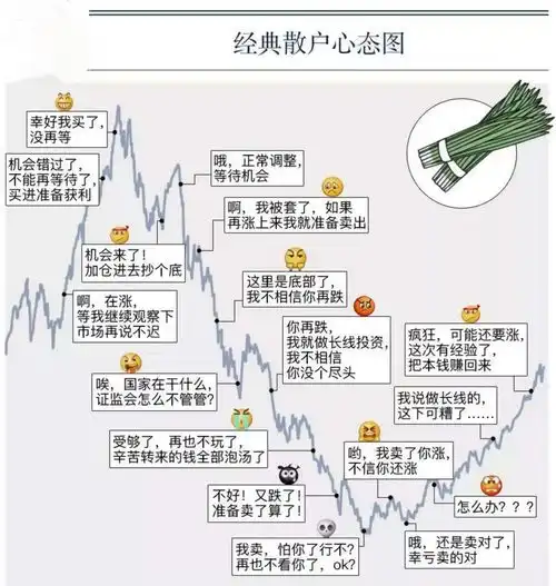 不盲投不追星基金小白必备工具