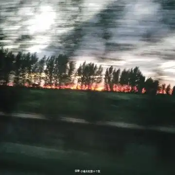 混沌武士