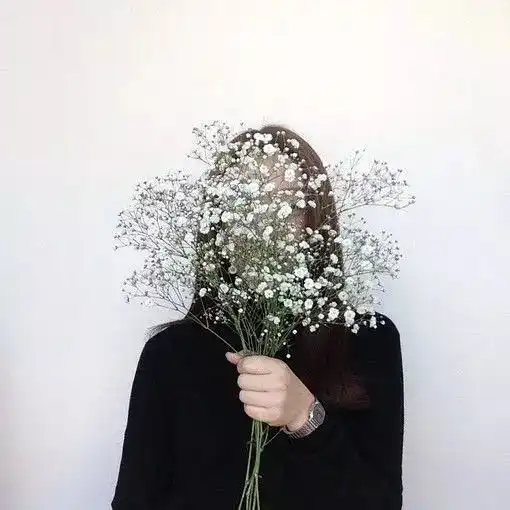 测试一个超长简介的文章