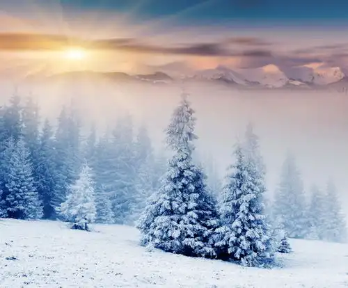 高清冬季冬天雪景自然风景jpg摄影图下载至来源处