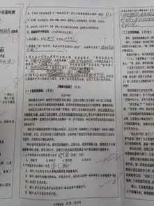 测试一个超长简介的文章
