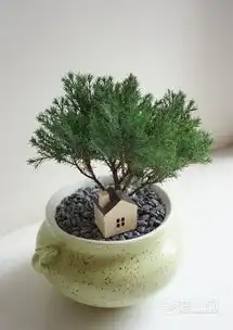 绿植千万别随便摆长沙装修网绿植摆放技巧大放送
