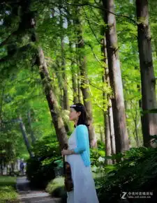 森系人像森林之音中关村在线摄影论坛