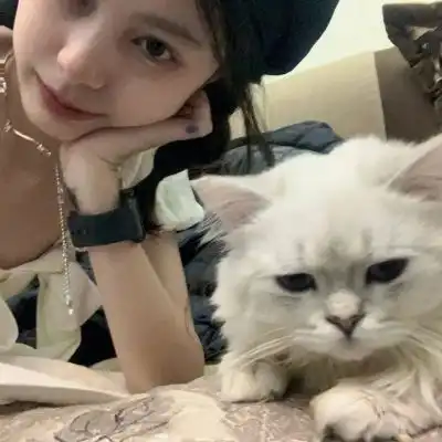 测试一个超长简介的文章