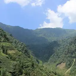 秘境之旅屏山老君山登山记