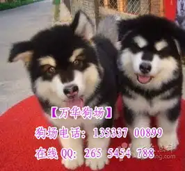 万华狗场广州哪里有大白熊卖图片广州宠物